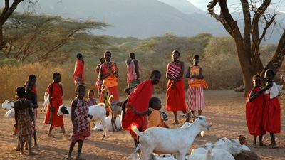Image result for livestock keeping women
