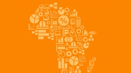 The State of the Africa Region The State of the Africa Region
