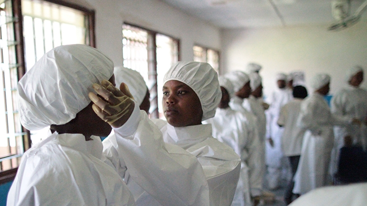 Ebola research paper outline