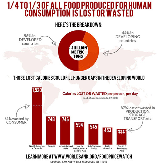 pov-food-waste-infographic-final505x526.jpg