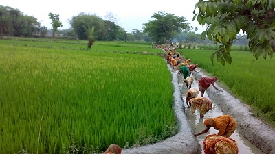Image result for Bangladesh rural