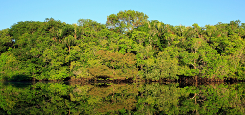 Amazon Sustainable Landscapes 