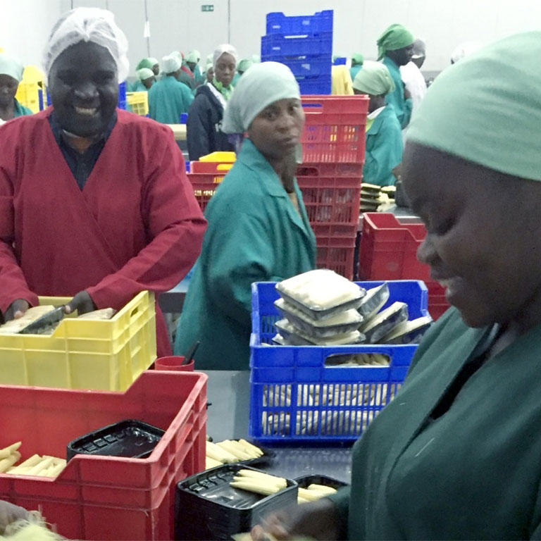 International development jobs mozambique