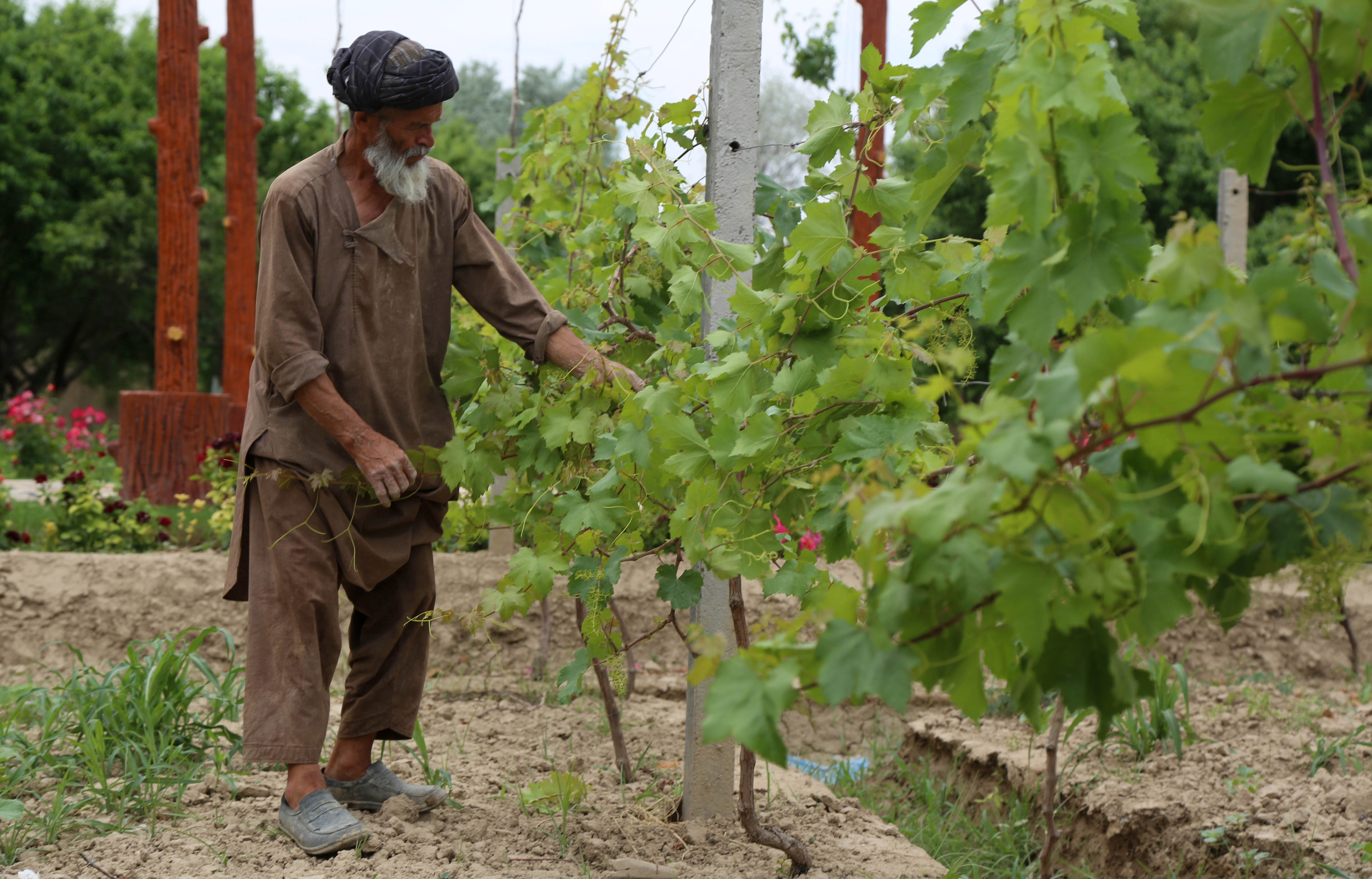 Afghanistan Development Update Afghanistan riding into the headwinds