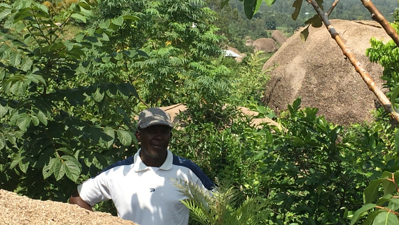 Kenya. Kajulu Hills restoration