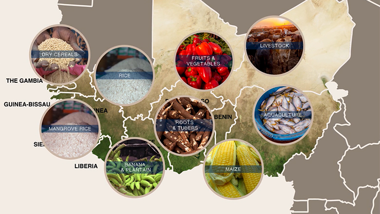 World Bank West Africa Agricultural Productivity Program Definition