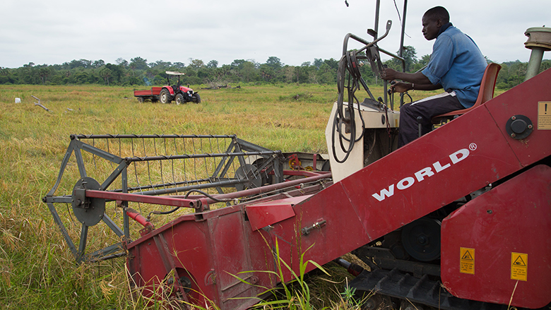A farmer works in his field in Cote d'Ivoire.