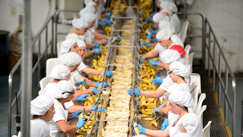 Workers at Paradise Ingredients banana puree processor, Costa Rica