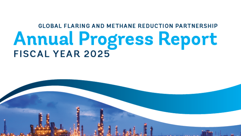 GFMR Annual Progress Report GFMR Annual Progress Report