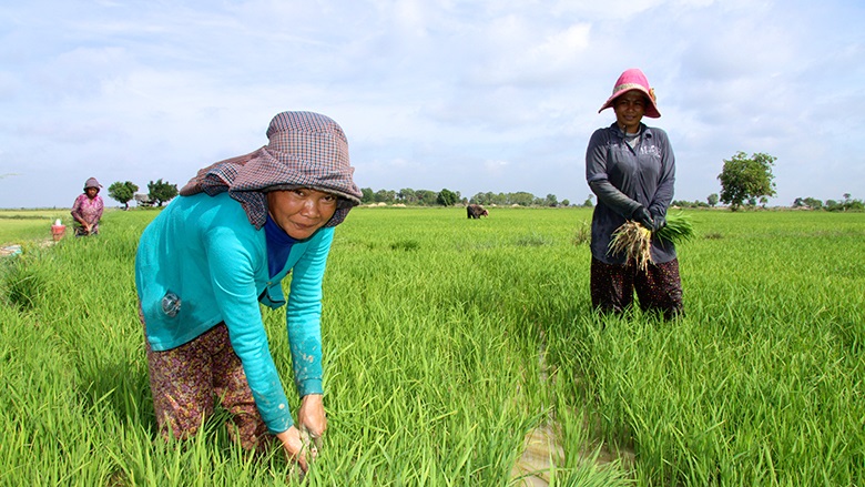 ការយកចិត្តទុកដាក់នឹងការងារ