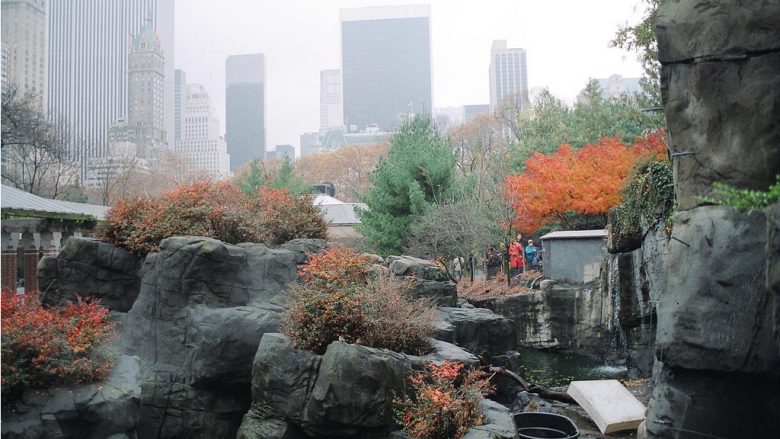 WCS Central Park Zoo. Photo by Javier Kohen via Creative Commons