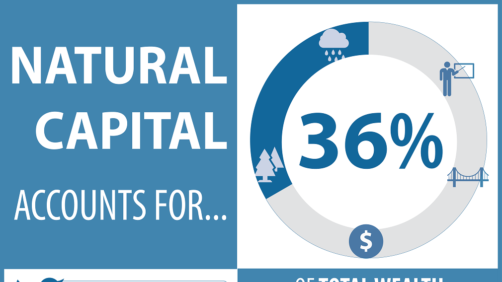 Did You Know? Natural capital accounts for 36% of total wealth in developing countries. 