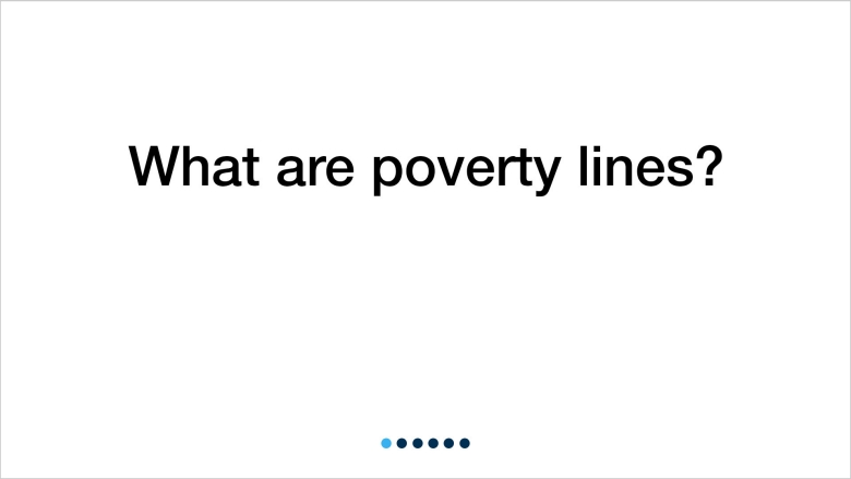 Understanding Poverty Data