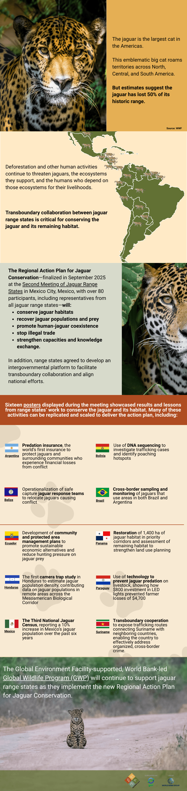 Regional Action Plan for Jaguar Conservation