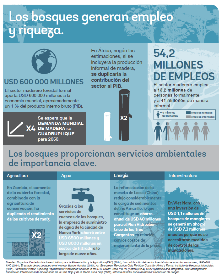 Forests Create Jobs Infographic