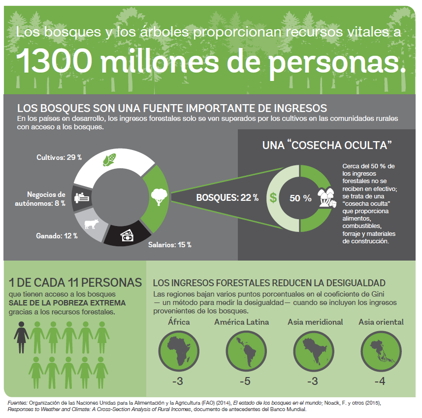 Infografía: Los bosques y arboles proporcionan recursos vitales 