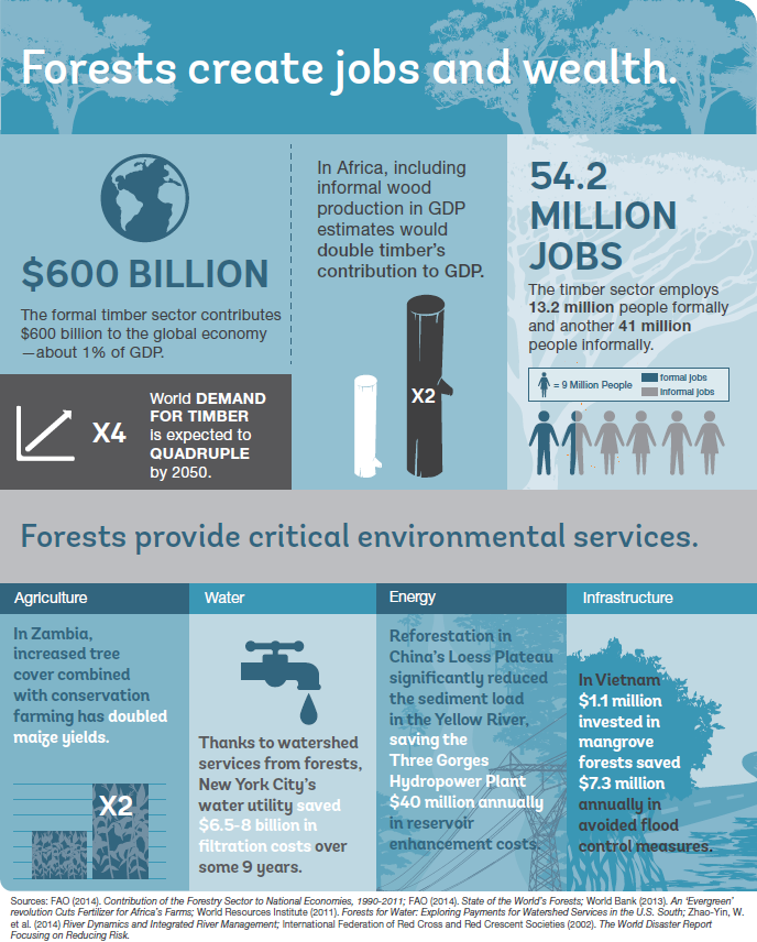 Forests Create Jobs Infographic