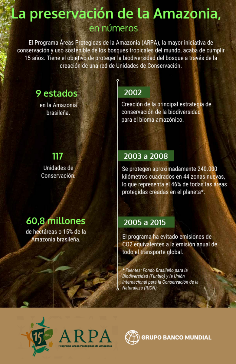 Brasil: La preservación de la Amazonia, en números