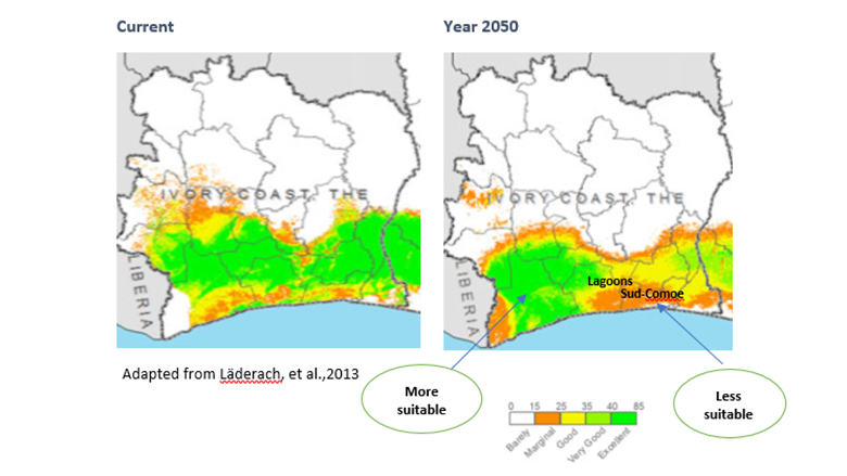 Cote d'Ivoire: Sustaining Its Economic Transformation