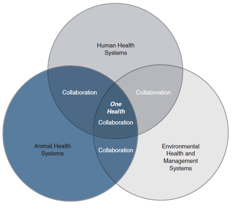 Safeguarding Animal, Human and Ecosystem Health: One Health at the World  Bank