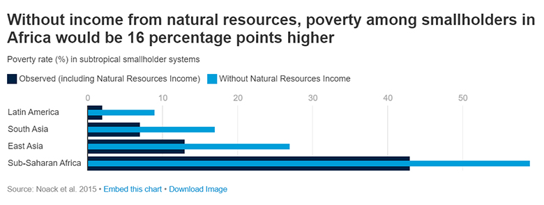 Chart: Without income from natural resources, poverty among smallholders in Africa would be 16 percentage points higher.