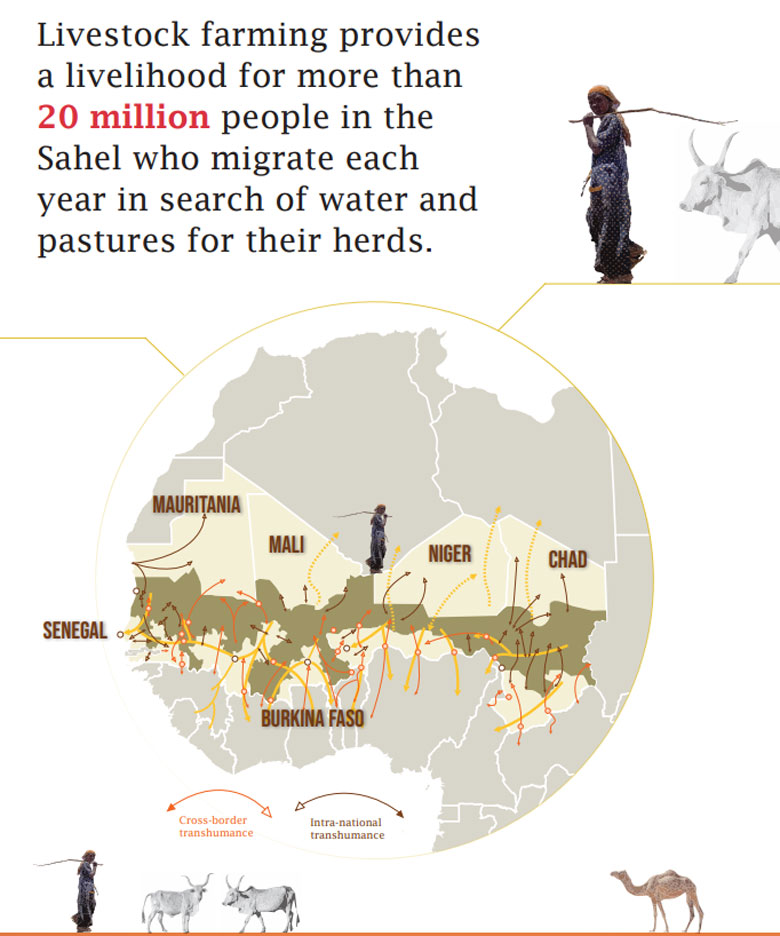 Full infographic: Supporting Pastrolism In the Sahel: Joint Action for Shared Challenges