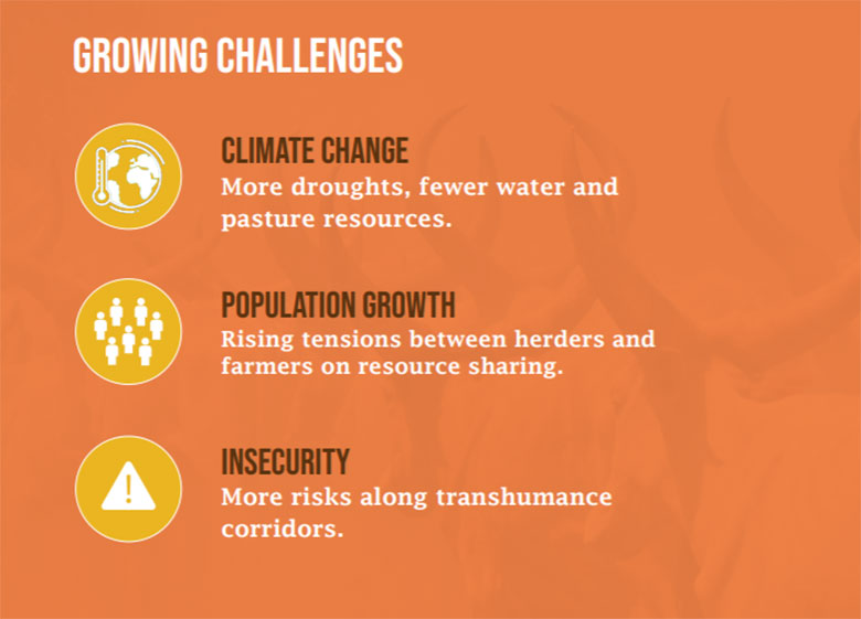 Full infographic: Supporting Pastrolism In the Sahel: Joint Action for Shared Challenges