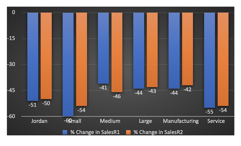 The average decline in sales seems to be persistent around 50% in both the COVID-19 survey waves.