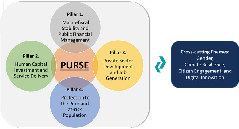 PURSE Four Priority Areas