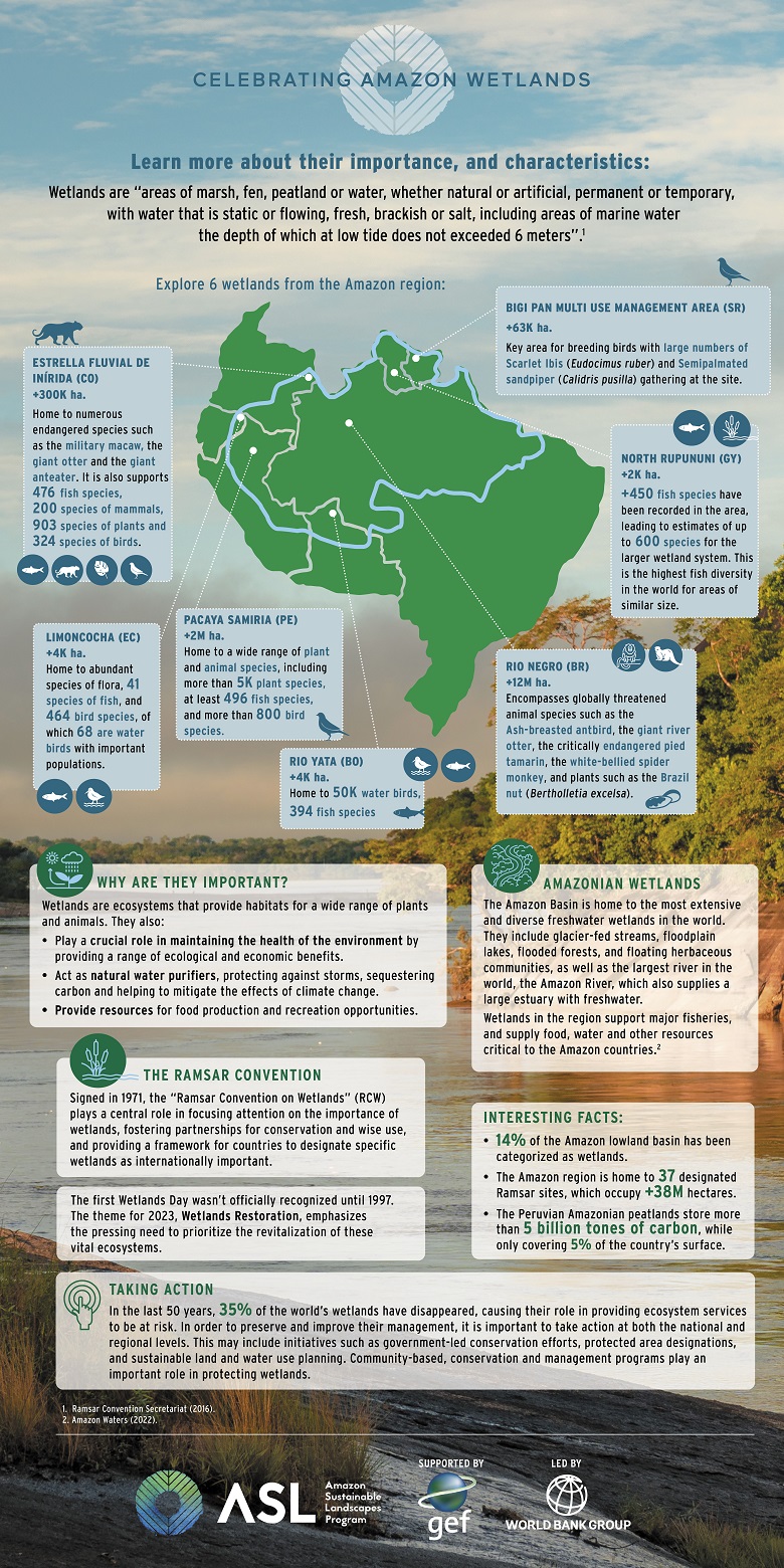 Celebrating Amazon Wetlands