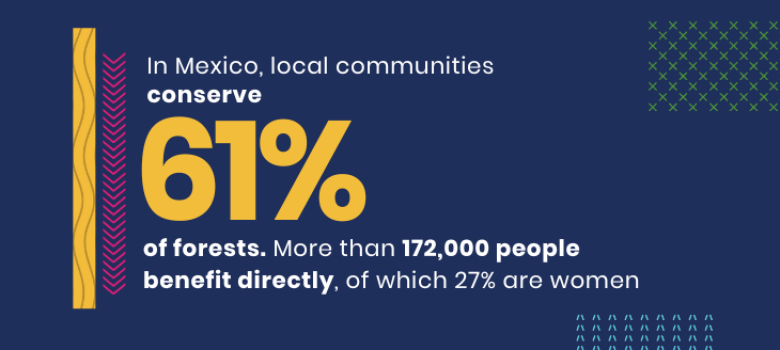 In Mexico, local communities conserve 61% of forests. More than 172,000 people benefit directly, of which 27% are women In Mexico, local communities conserve 61% of forests. More than 172,000 people benefit directly, of which 27% are women