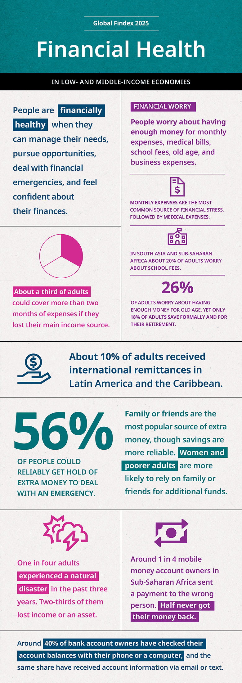 Financial Health Visual Executive Summary for Findex 2025