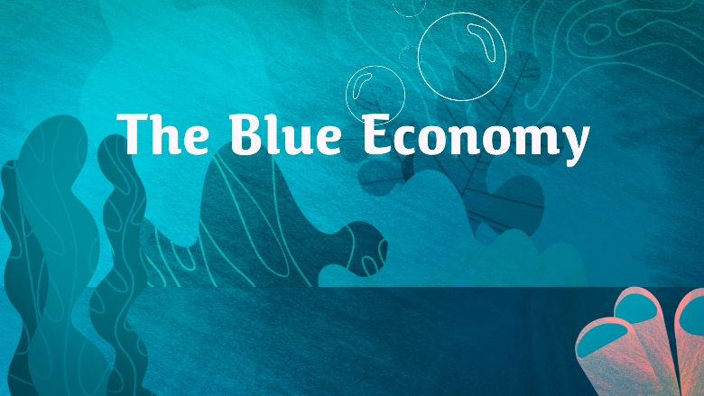 Blue economy card