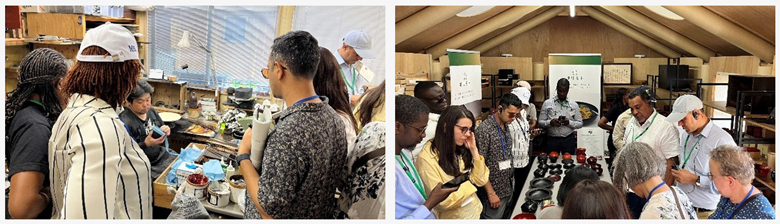 Reviving Local Livelihoods