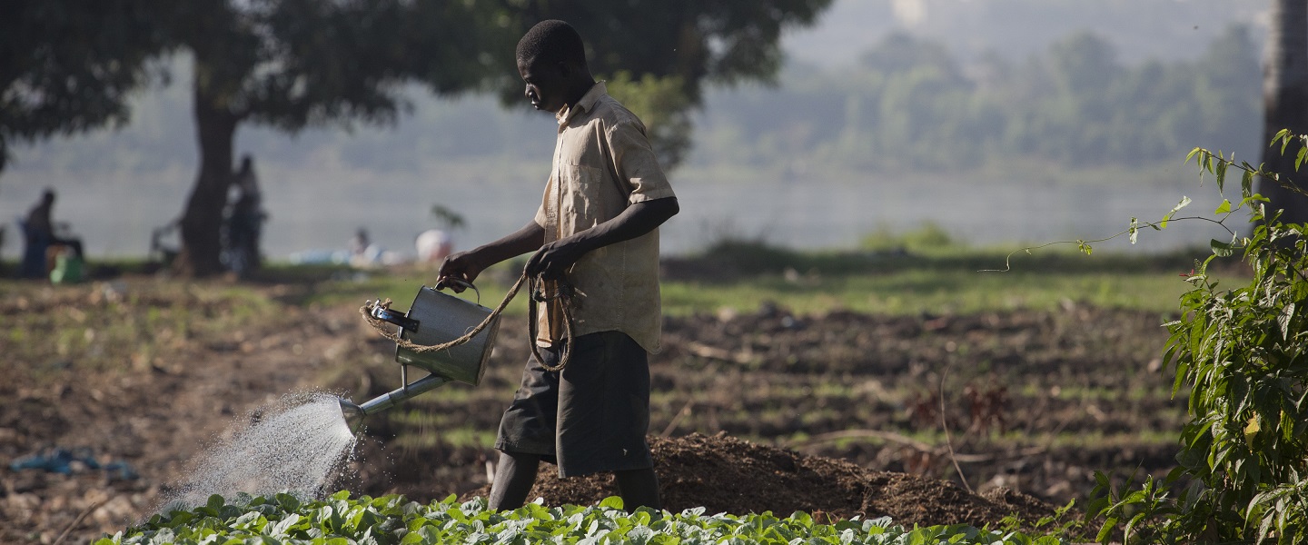 Water in Agriculture