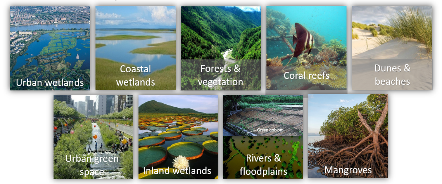 Nature-based Solutions: a Cost-effective Disaster and Water Resource Management