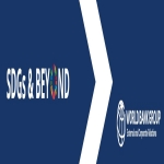 SDGs and Beyond