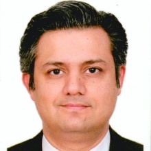 Statement by the Hon. Muhammad Hammad Azhar Image
