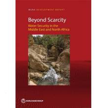 Beyond Scarcity