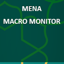 MENA Macro Monitor Cover