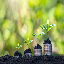 Picture of plants and coins