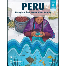 Peru: Strategic Actions Toward Water Security