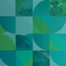 2023 Global Young MP Initiative Meeting square graphic featuring environmental and global images