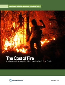 The Cost of Fire Report man in the Fire