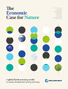 The Economic Case for Nature report cover yellow with abacus dots 