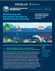 Supporting Biodiversity and Healthy Ecosystem Services in Oceans and Coasts