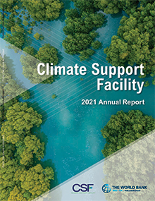 CSF 2021 Annual Report