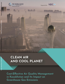 Clean Air and Cool Planet Cover 