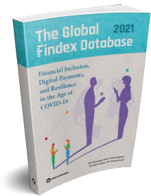 3d image of the Global Findex 2021 cover