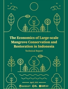 MangroveThe Economics of Large-scale Mangrove Conservation and Restoration in Indonesia